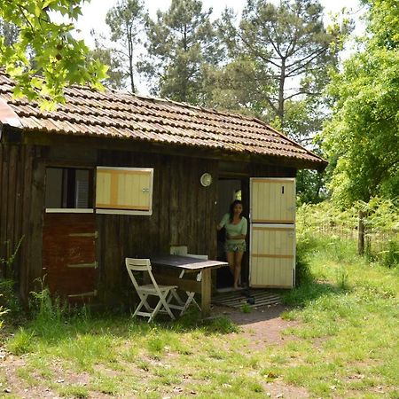 Cabane En Foret Onesse-et-Laharie Ngoại thất bức ảnh