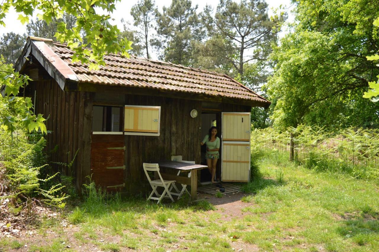 Cabane En Foret Onesse-et-Laharie Ngoại thất bức ảnh