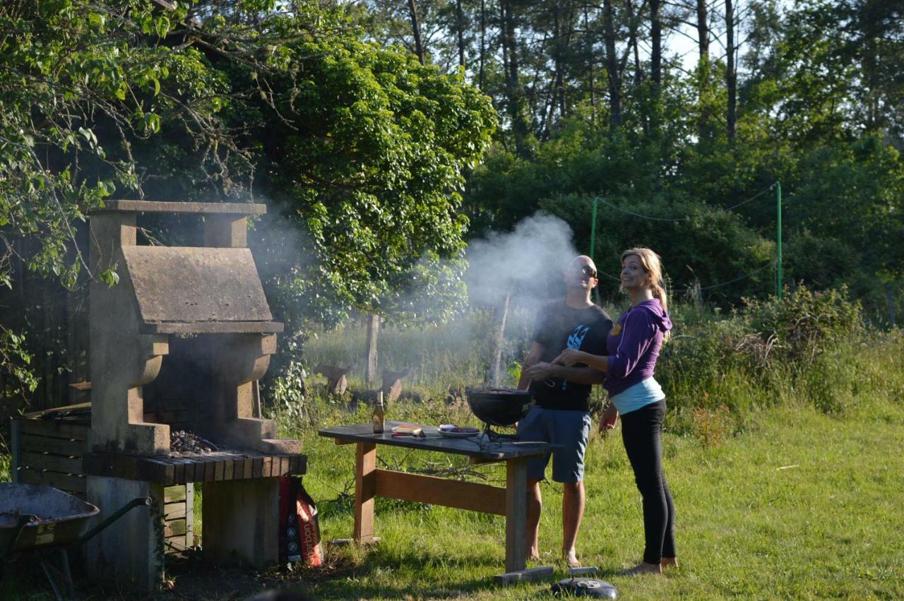 Cabane En Foret Onesse-et-Laharie Ngoại thất bức ảnh