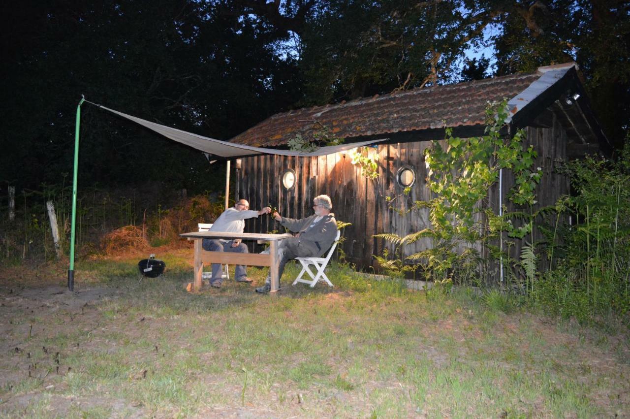 Cabane En Foret Onesse-et-Laharie Ngoại thất bức ảnh